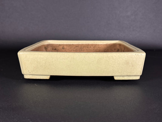 YAMAFUSA 4th Gen (YAMAFUSA KOIE 山房鯉江 (aka SAMBO)) -常滑-25.3cm | Square | Cream Glazed