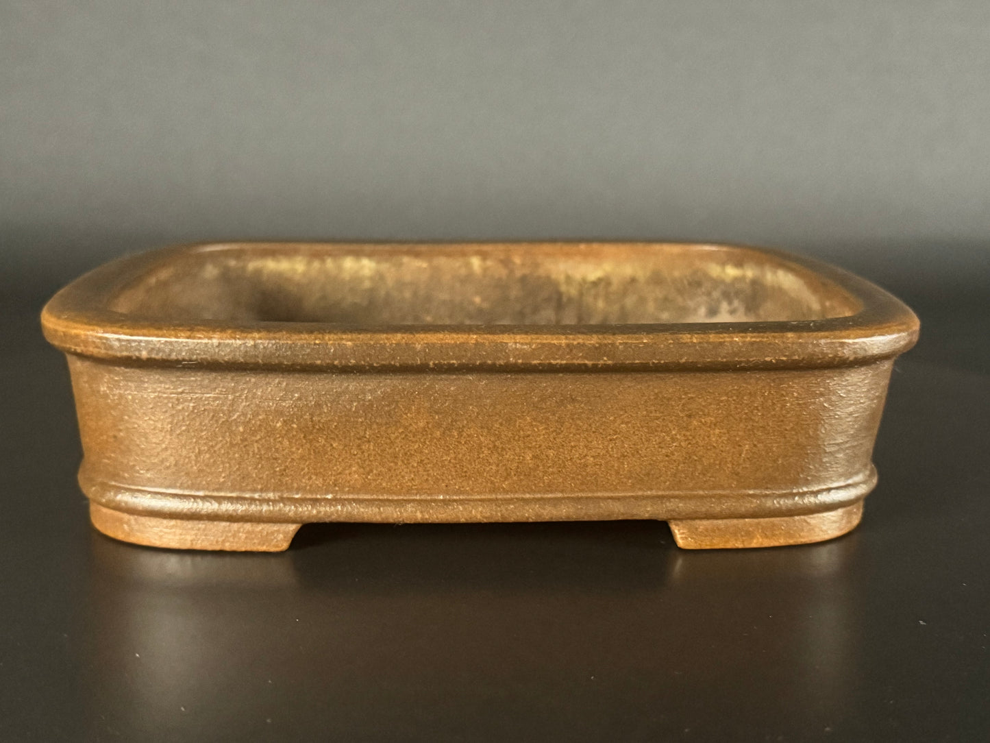 SENGO/Zenigo Matsushita Masuo 常滑18.7cm Rectangular