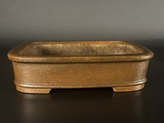 SENGO/Zenigo Matsushita Masuo 常滑18.7cm Rectangular