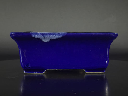 TERAHATA 2nd Gen ( Terahata Satomi 寺幡 サトミ ) - 常滑 –  17.0cm Rectangular glazed cobalt blue