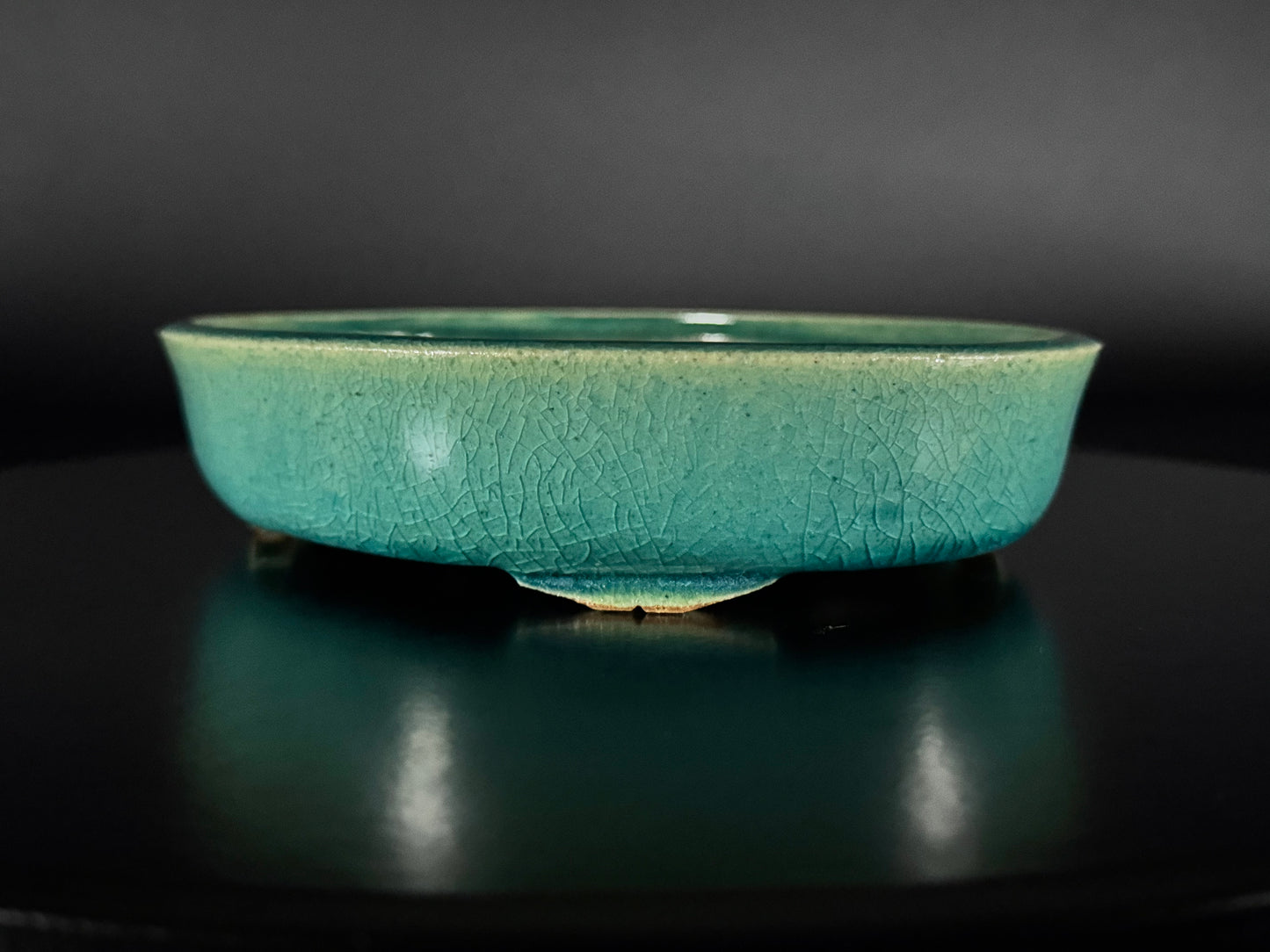 FUUKA (風香), Japan, oval, glazed (celadon crackle)19.5cm (On hold for a customer)