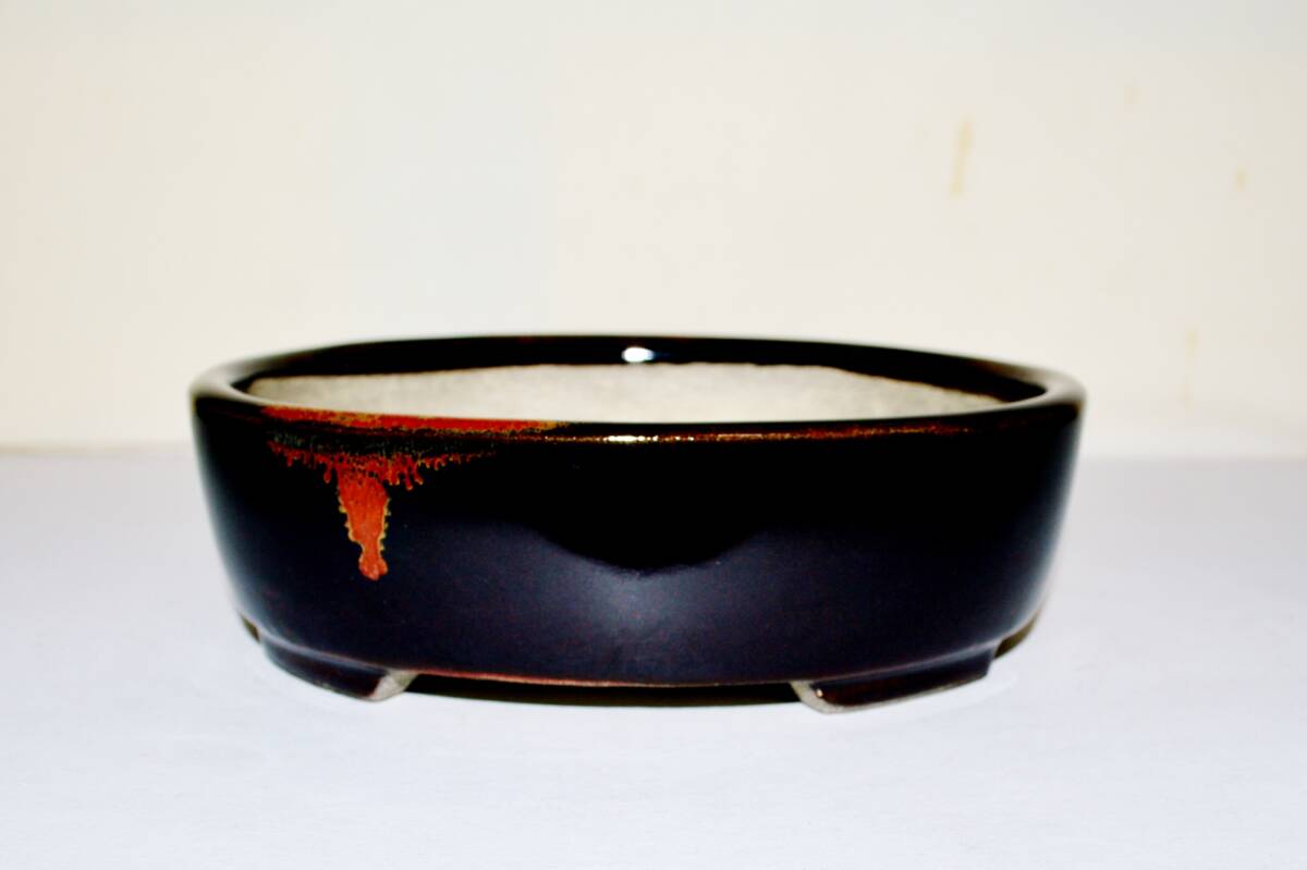 TERAHATA 2nd Gen ( Terahata Satomi 寺幡 サトミ ) - 常滑 –  18.8cm Oval