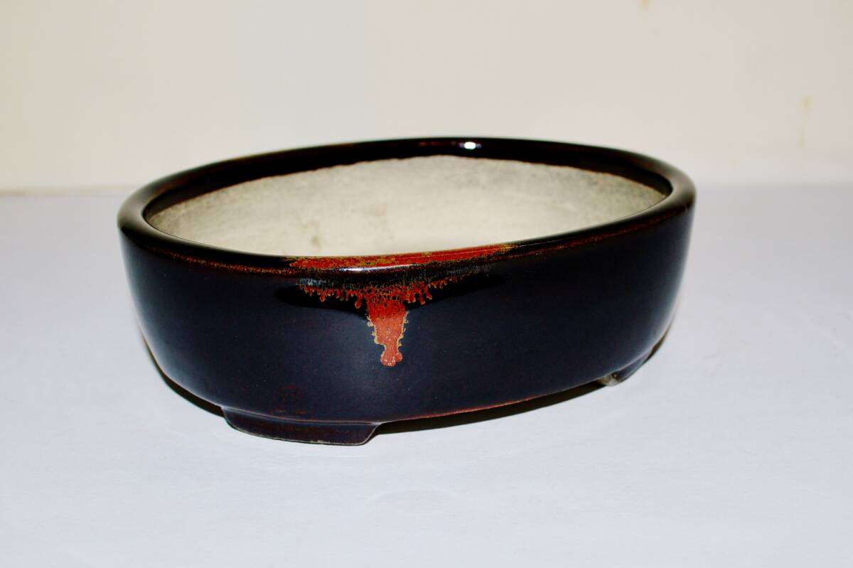 TERAHATA 2nd Gen ( Terahata Satomi 寺幡 サトミ ) - 常滑 –  18.8cm Oval