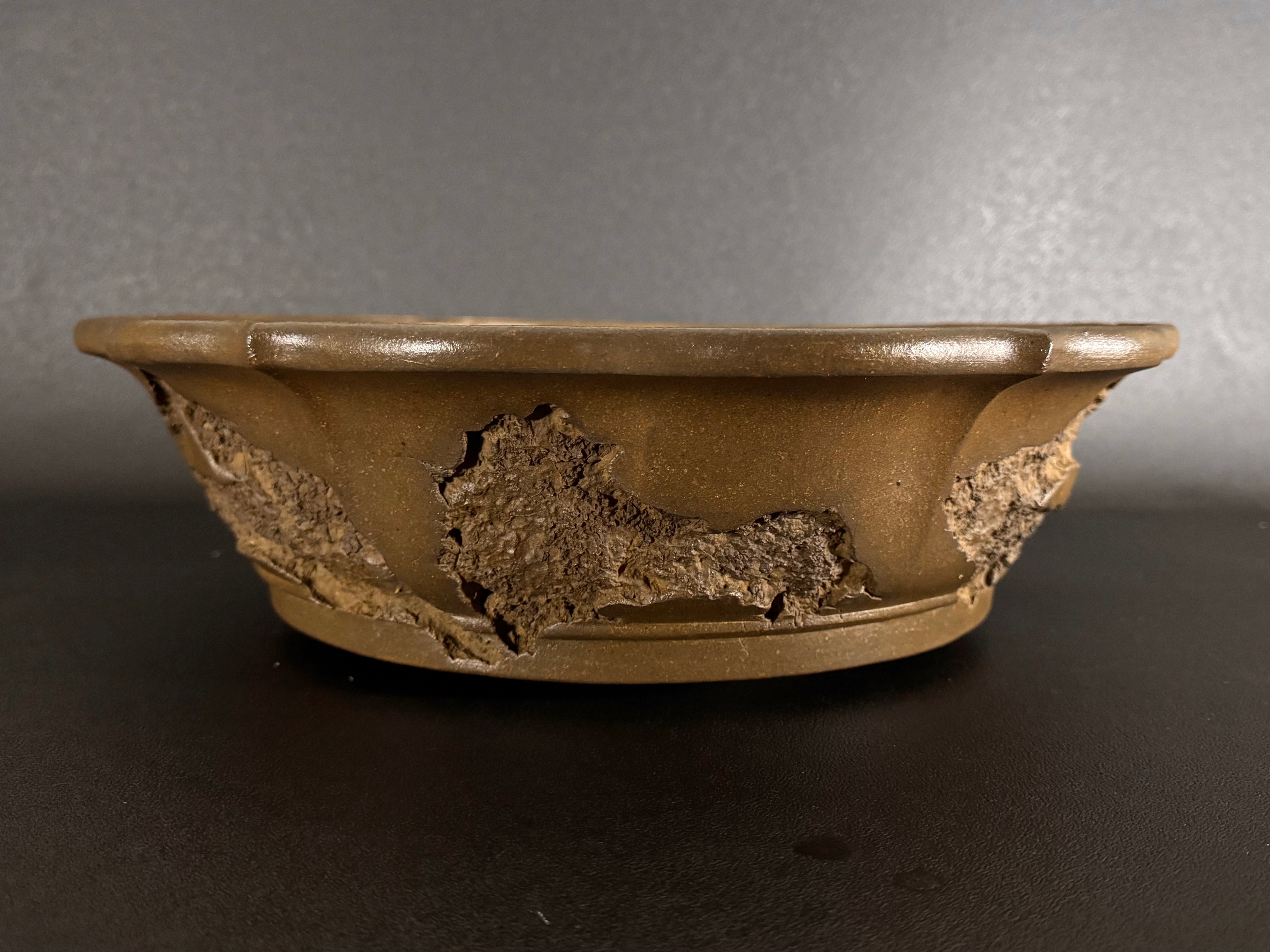 Antique Pots – Sugi Bonsai