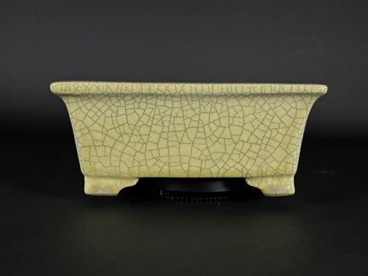 TERAHATA Mazan (Mayama Mazan) 常滑 – 19.0cm Square Bonsai Pot