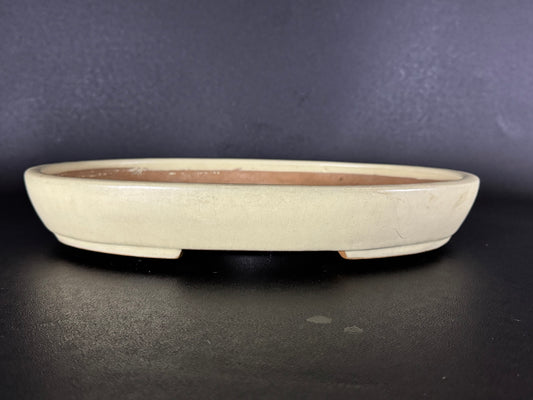 YAMAFUSA 4th Generation KOIE 山房四代 鯉江 (aka SAMBO) – 常滑 – 40.7cm Oval Light Cream Glazed Bonsai Pot（楕円鉢・淡クリーム釉）