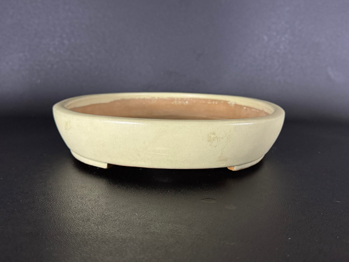 YAMAFUSA 4th Generation KOIE 山房四代 鯉江 (aka SAMBO) – 常滑 – 40.7cm Oval Light Cream Glazed Bonsai Pot（楕円鉢・淡クリーム釉）