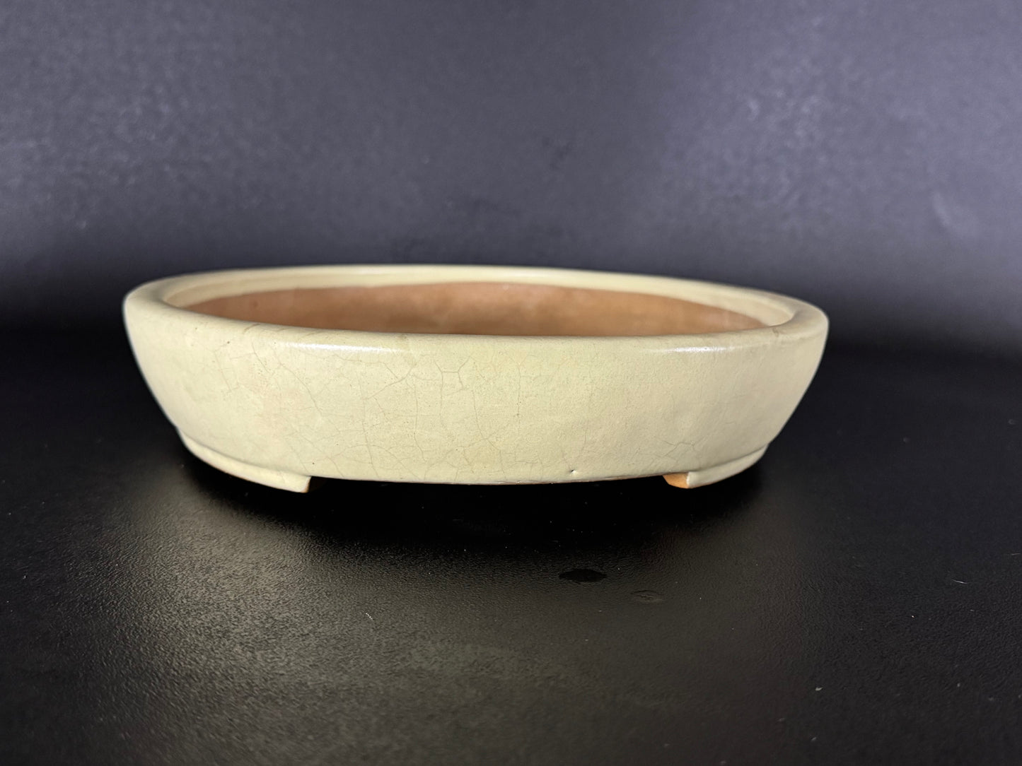 YAMAFUSA 4th Generation KOIE 山房四代 鯉江 (aka SAMBO) – 常滑 – 40.7cm Oval Light Cream Glazed Bonsai Pot（楕円鉢・淡クリーム釉）