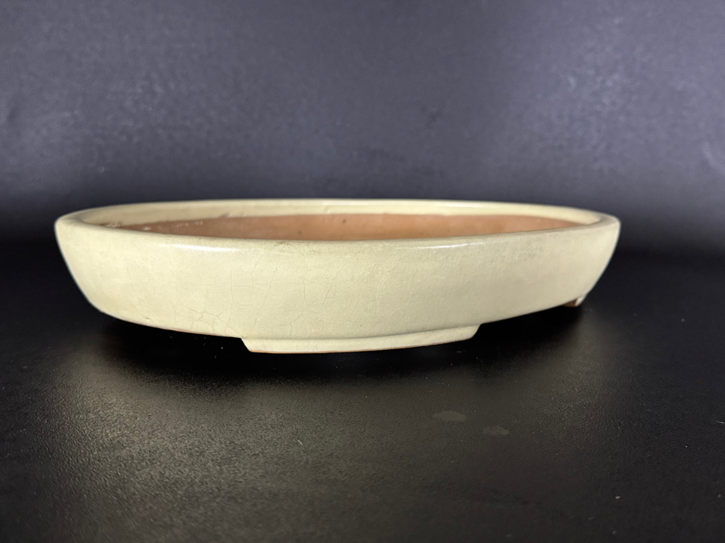 YAMAFUSA 4th Generation KOIE 山房四代 鯉江 (aka SAMBO) – 常滑 – 40.7cm Oval Light Cream Glazed Bonsai Pot（楕円鉢・淡クリーム釉）