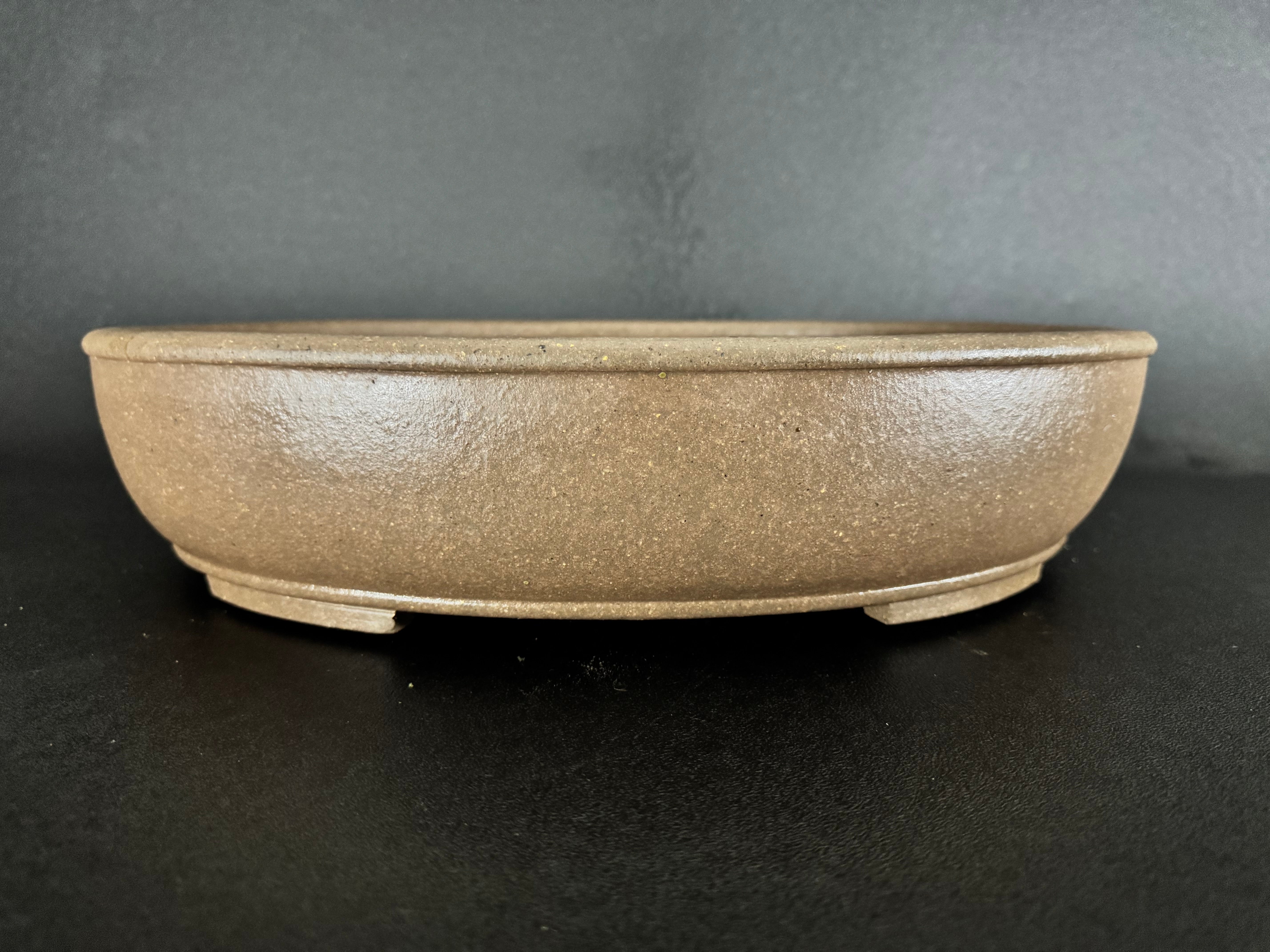 Yamaaki – Sugi Bonsai