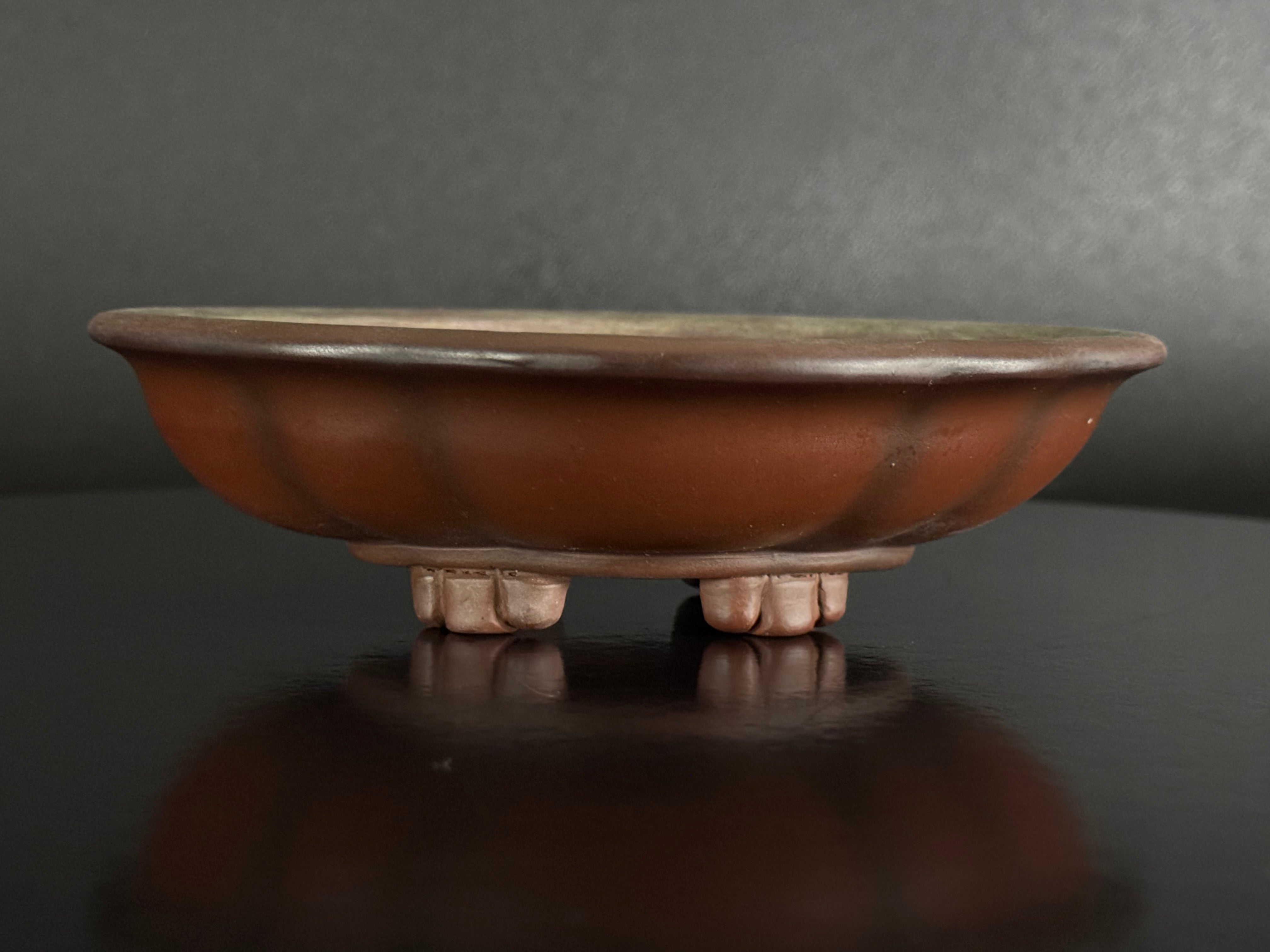 Shohin (小品) Pots – Sugi Bonsai