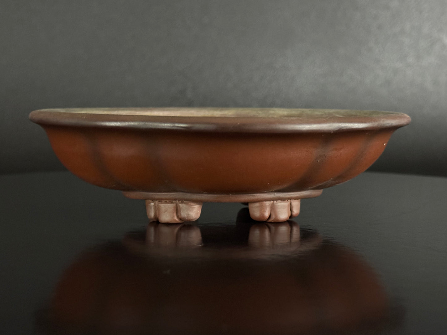 BIGEI 美芸 (Hirata Atsumi 平田あつみ) – 常滑 – 15.2cm Quince