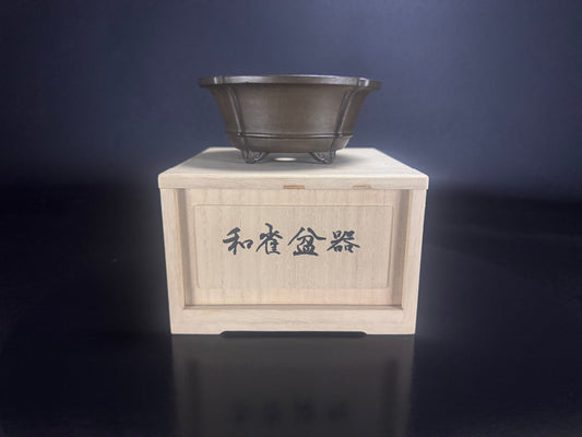 Wazyaku 和山作 – Tokoname 常滑市 – 12.4cm Soft Mokko-gata 木瓜形 Unglazed 無釉 Bonsai Pot