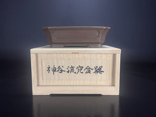 Kamiya Ryuen 神谷龍園 – 常滑市 Tokoname – 13.5cm Rectangular 長方鉢 – Unglazed 無釉