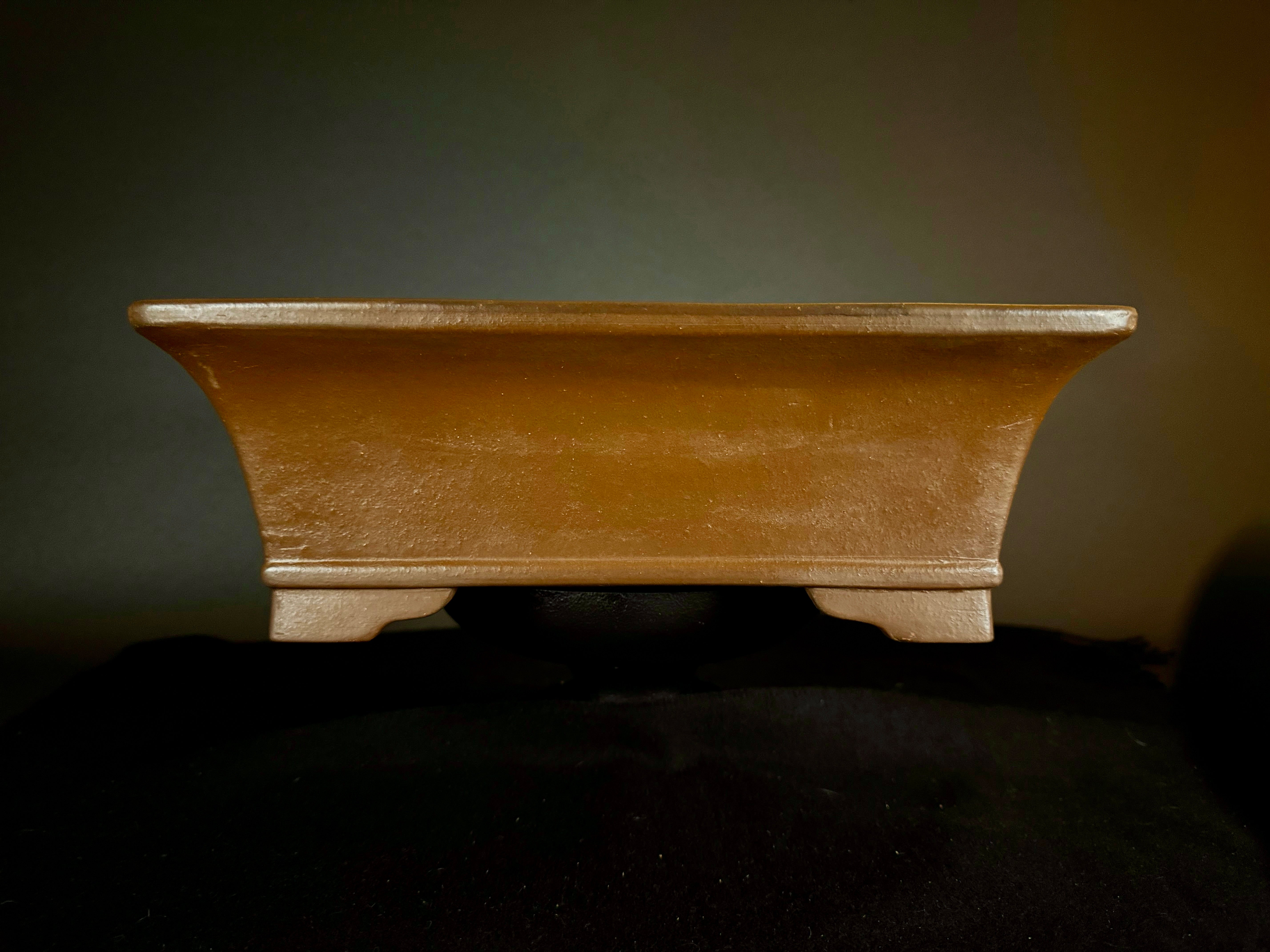 Antique Pots – Sugi Bonsai