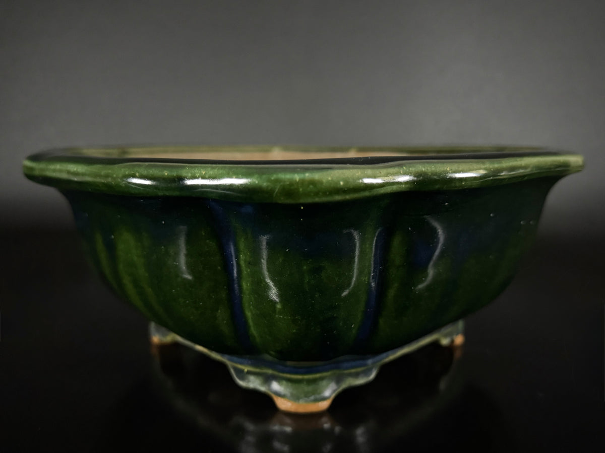 NAKANO GYOZAN 中野 行山 "Seal Only 印のみ" - 常滑 - 24.8cm Not for Sale Mokko / Quatrefoil 木瓜形 –  Green Glazed 緑釉