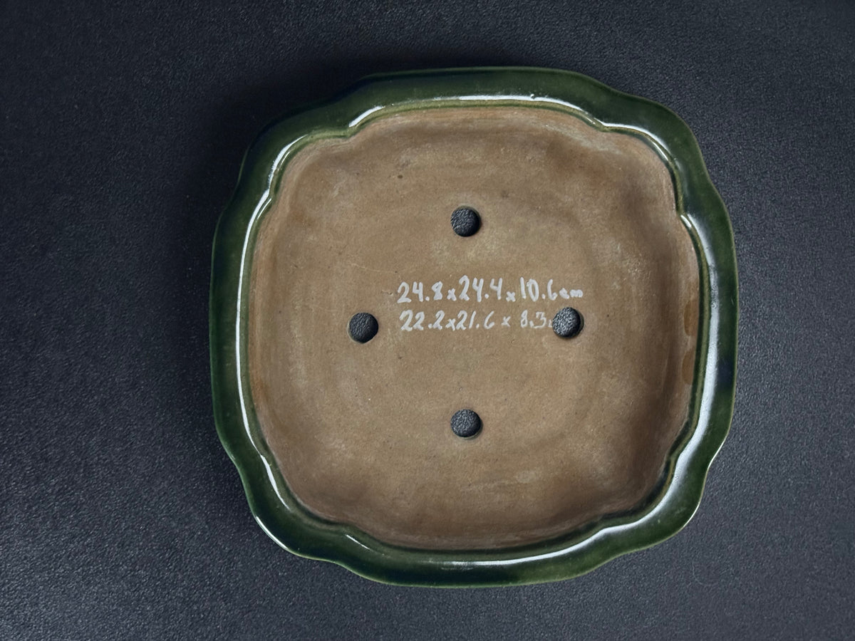 NAKANO GYOZAN 中野 行山 "Seal Only 印のみ" - 常滑 - 24.8cm Not for Sale Mokko / Quatrefoil 木瓜形 –  Green Glazed 緑釉
