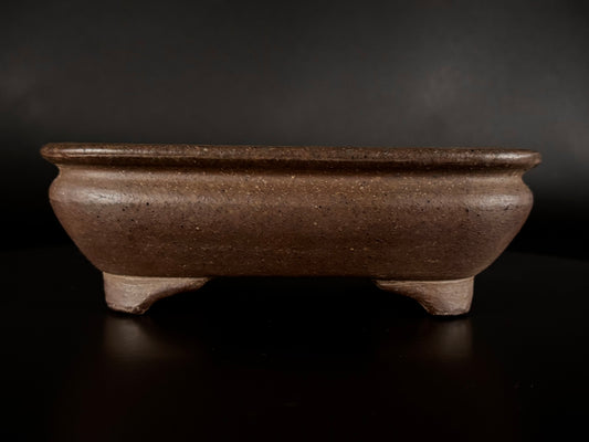 Gyozan Nakano Pots  Sugi Bonsai