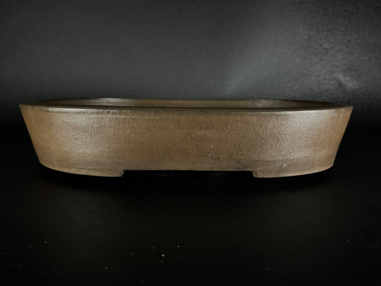 SYU-ZAN 舟山, (Suzuki Shinji 鈴木伸二) – 愛知県 – 40.3cm Oval 楕円形