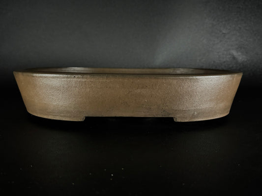 SYU-ZAN 舟山, (Suzuki Shinji 鈴木伸二) – 愛知県 – 40.3cm Oval 楕円形