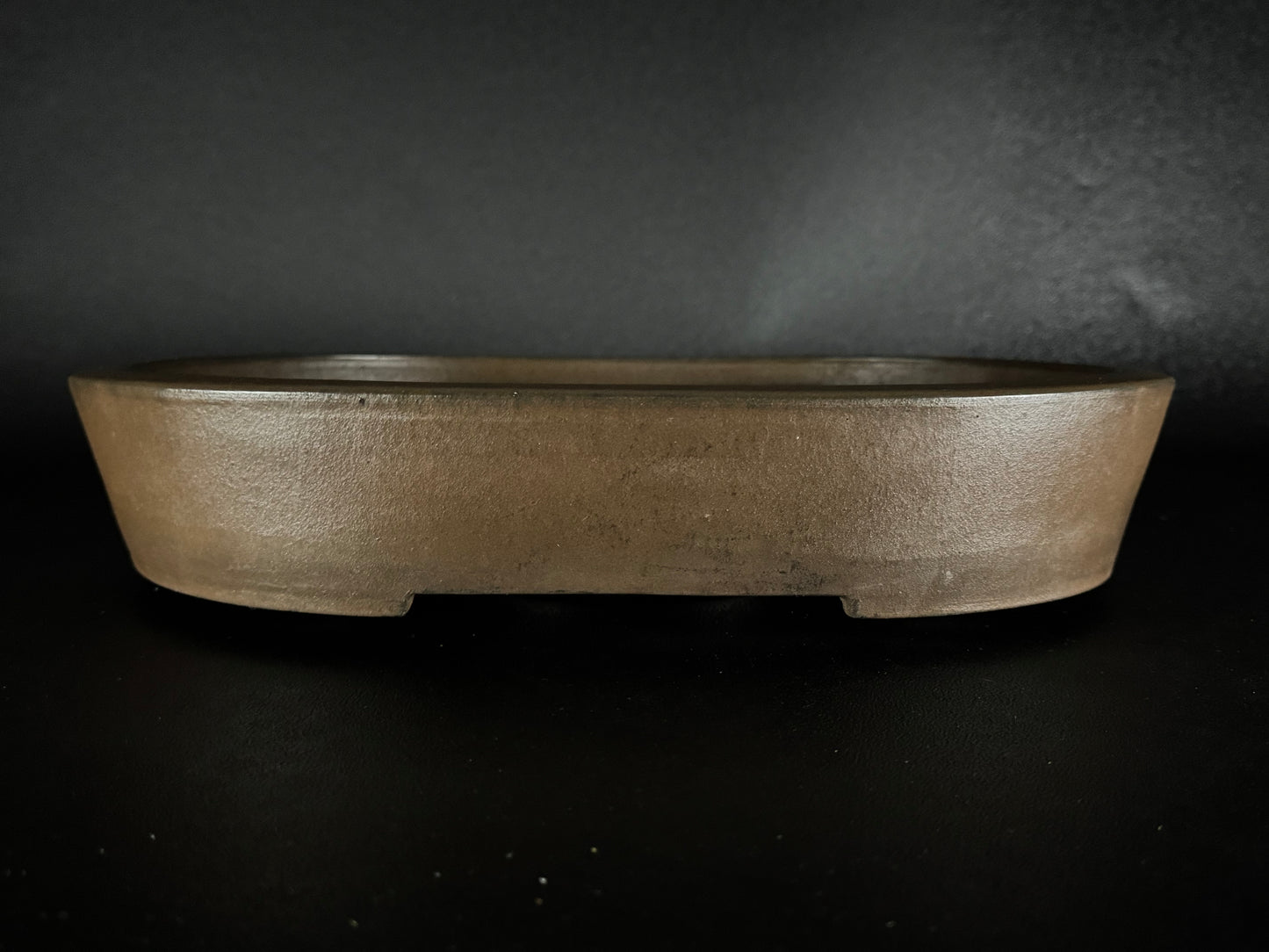 SYU-ZAN 舟山, (Suzuki Shinji 鈴木伸二) – 愛知県 – 40.3cm Oval 楕円形