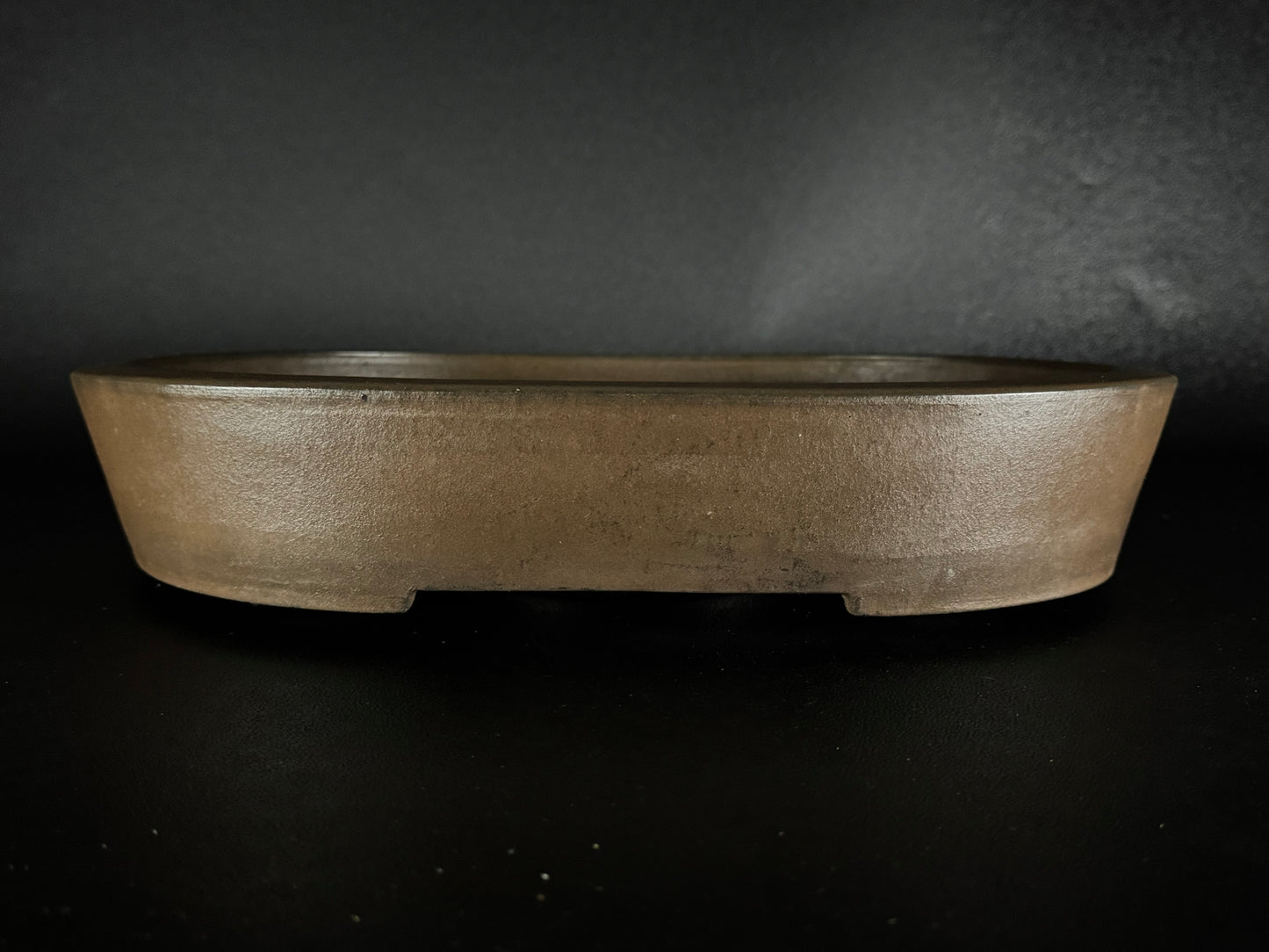 SYU-ZAN 舟山, (Suzuki Shinji 鈴木伸二) – 愛知県 – 40.3cm Oval 楕円形