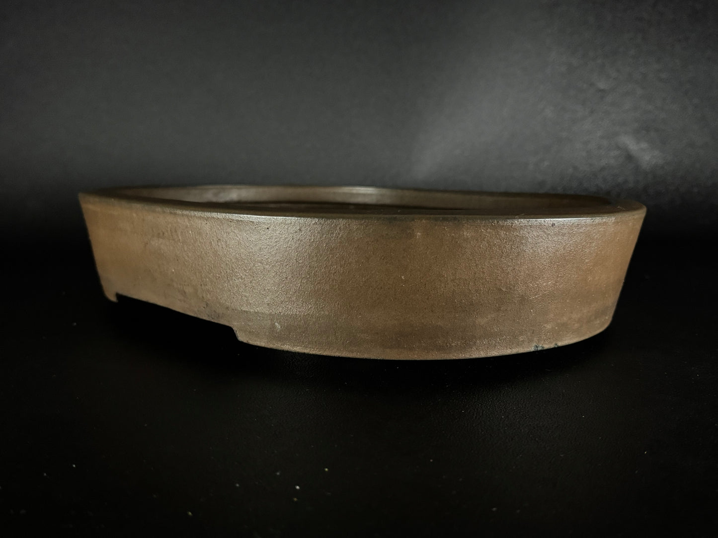 SYU-ZAN 舟山, (Suzuki Shinji 鈴木伸二) – 愛知県 – 40.3cm Oval 楕円形