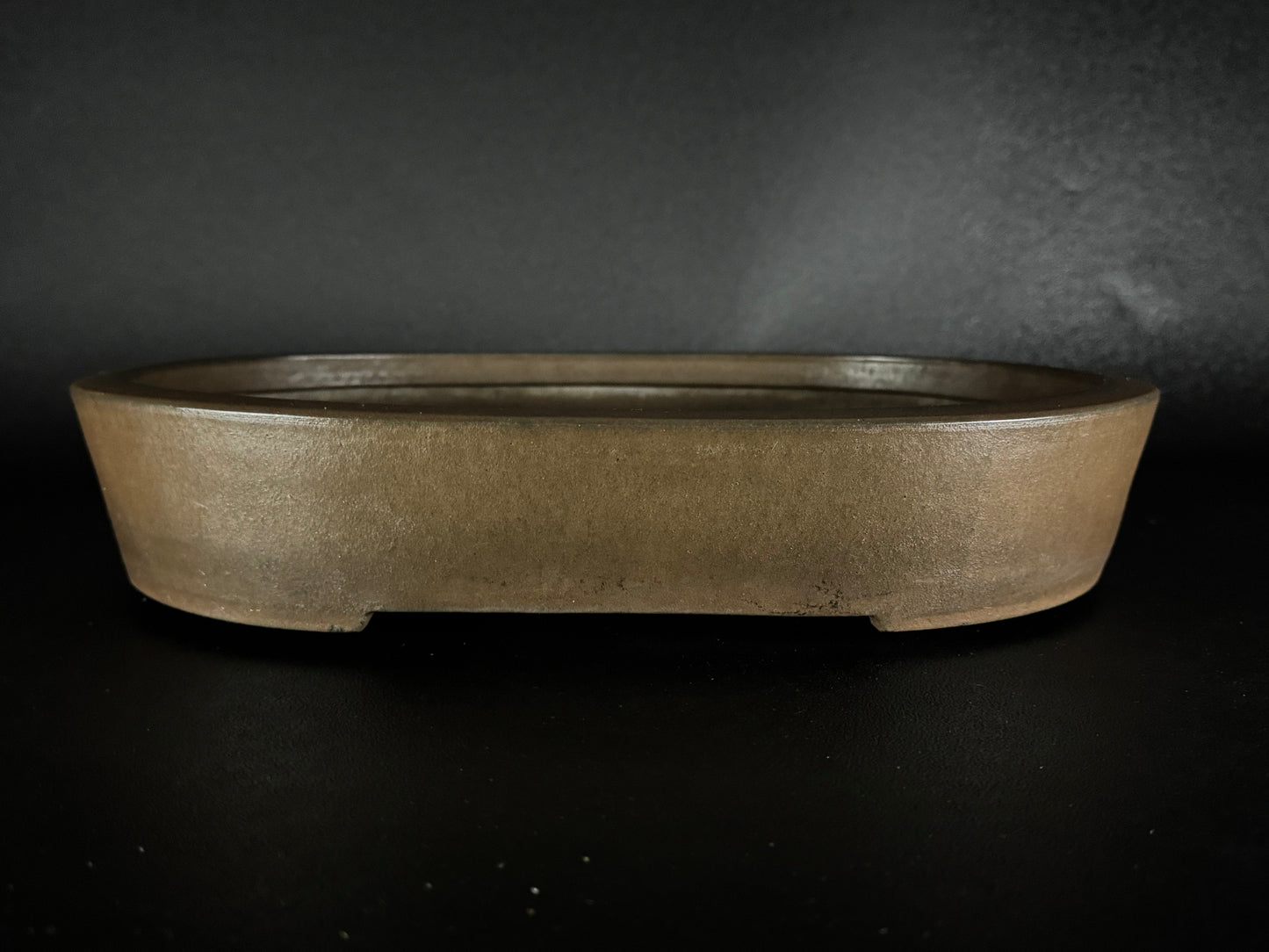 SYU-ZAN 舟山, (Suzuki Shinji 鈴木伸二) – 愛知県 – 40.3cm Oval 楕円形
