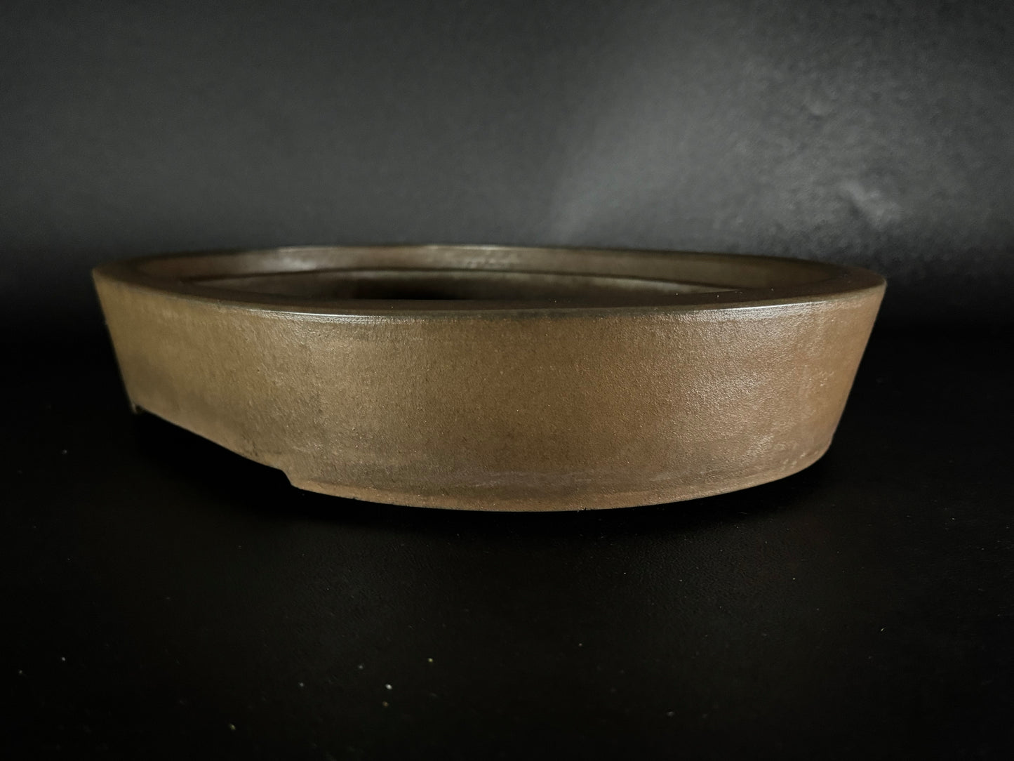 SYU-ZAN 舟山, (Suzuki Shinji 鈴木伸二) – 愛知県 – 40.3cm Oval 楕円形