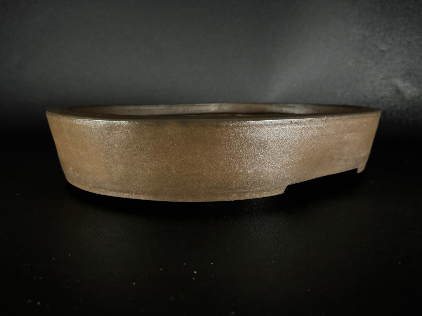 SYU-ZAN 舟山, (Suzuki Shinji 鈴木伸二) – 愛知県 – 40.3cm Oval 楕円形
