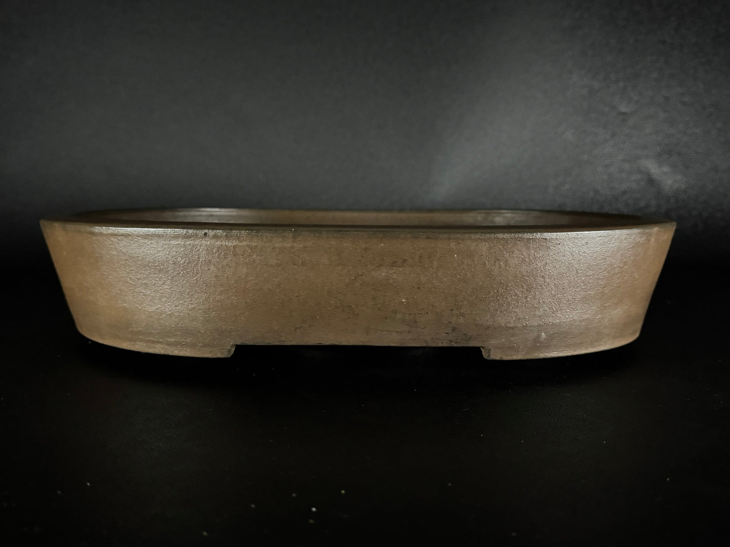 SYU-ZAN 舟山, (Suzuki Shinji 鈴木伸二) – 愛知県 – 40.3cm Oval 楕円形