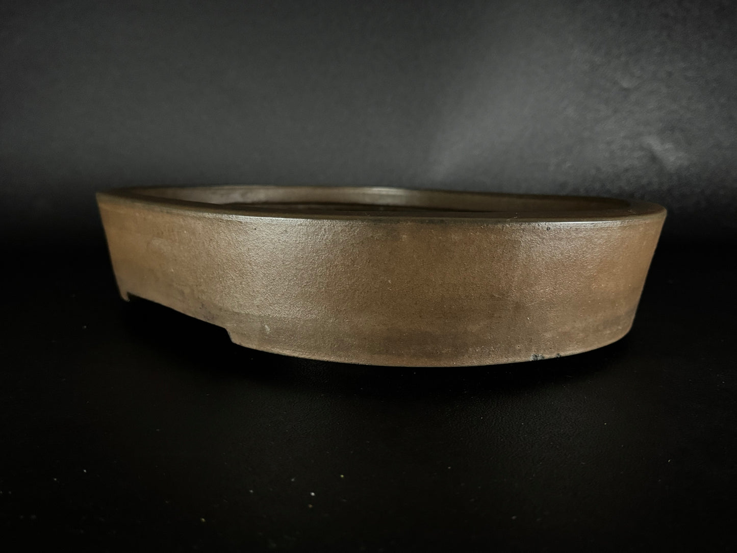 SYU-ZAN 舟山, (Suzuki Shinji 鈴木伸二) – 愛知県 – 40.3cm Oval 楕円形